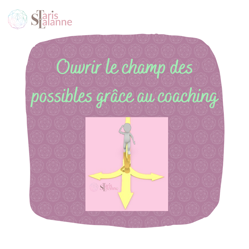 coaching professionnel